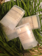 Load image into Gallery viewer, RAWR Vegan Lip Balm 100% Natural