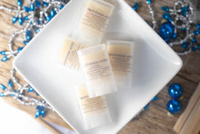 Load image into Gallery viewer, Plant Based Lip Balm