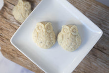 Load image into Gallery viewer, Owl Soap, vegan, palm free, gift