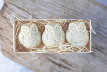 Load image into Gallery viewer, Owl Soap, vegan, palm free, gift